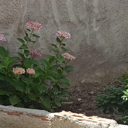 Casa Beatrice